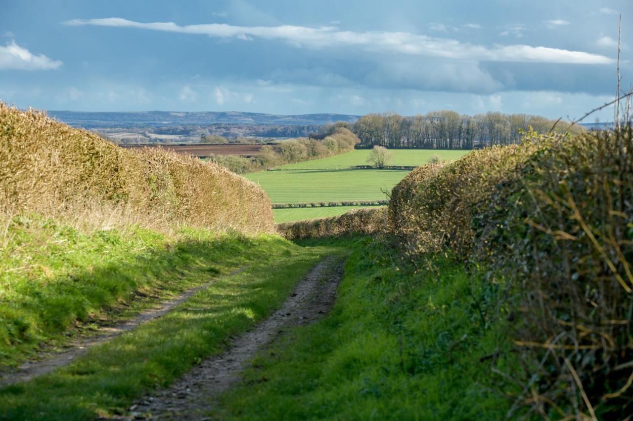 Luccombe Farm Farm stay